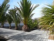 Jard&iacute;n de palmeras